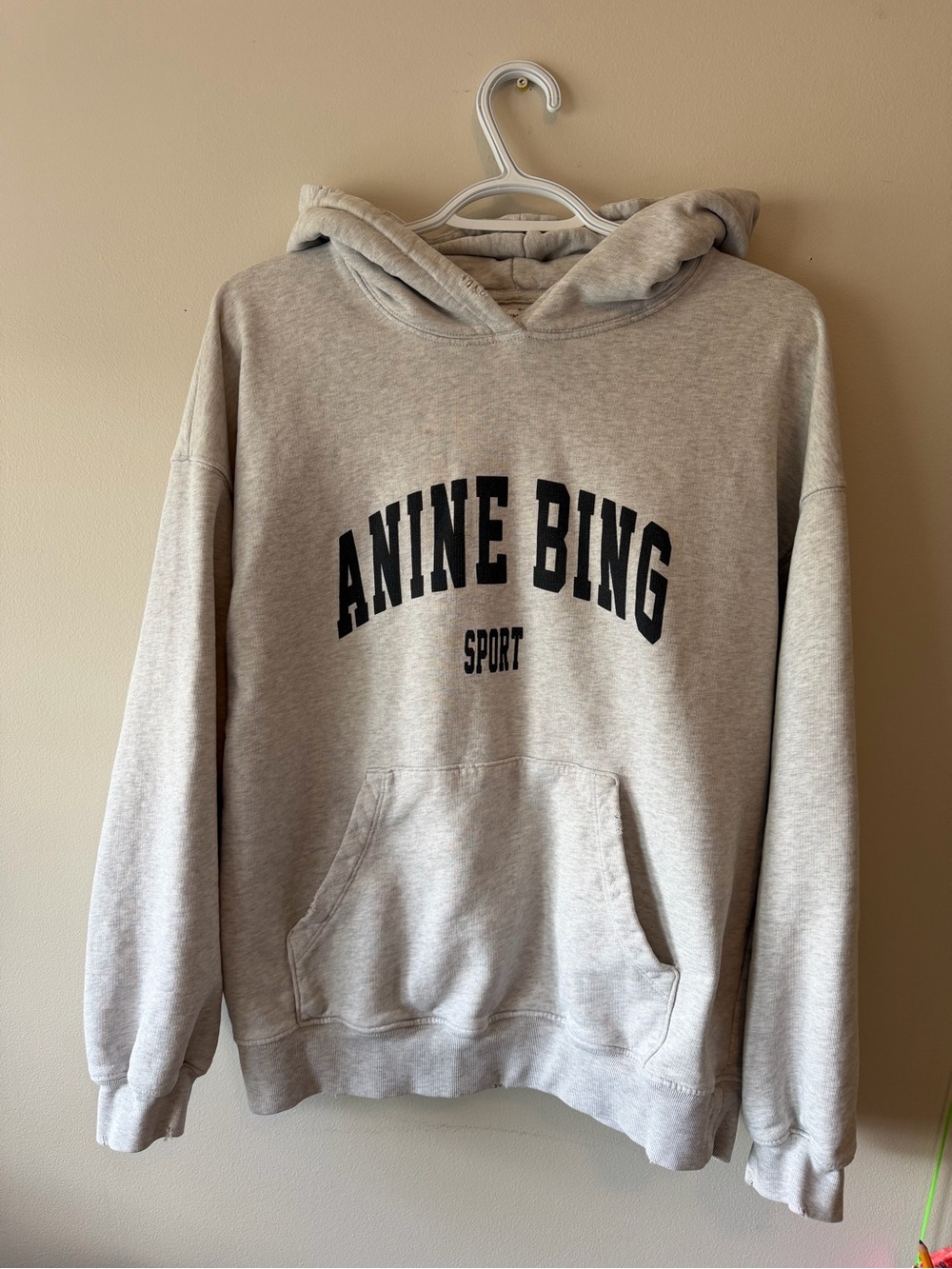 Anine Bing Harvey hoodie